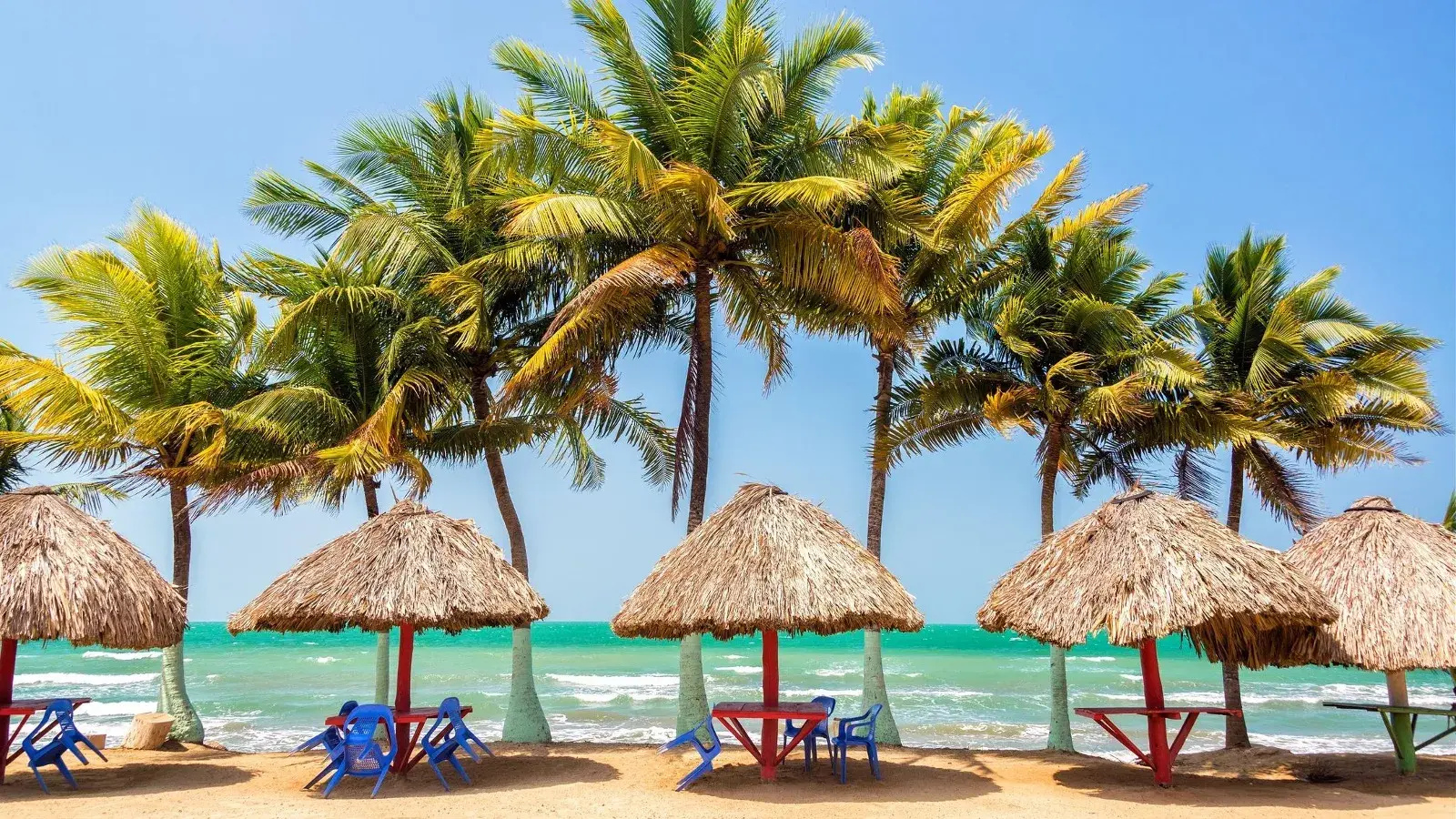 genesis travel, turismo, pasadias, transporte en ibagué, colombia