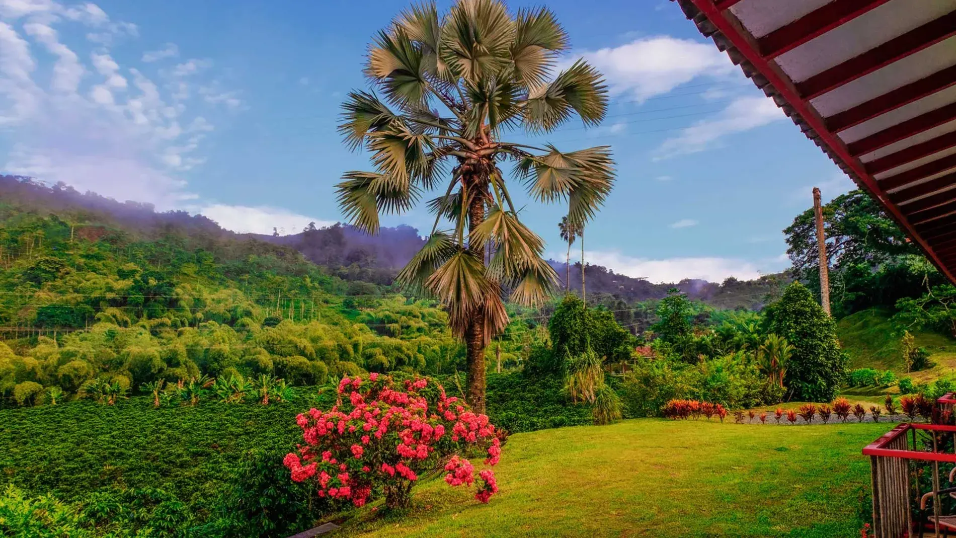 genesis travel, turismo, pasadias, transporte en ibagué, colombia