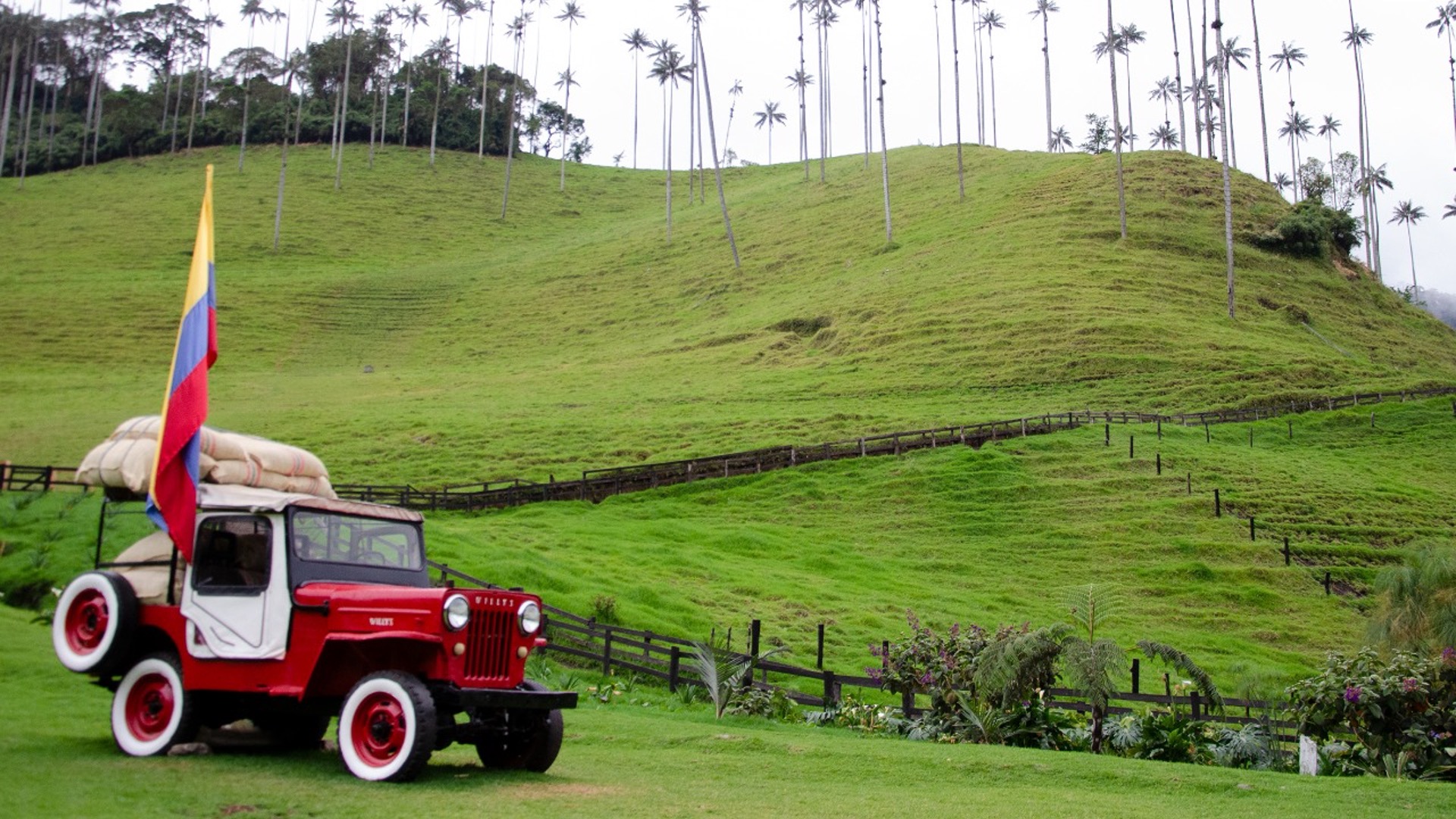 genesis travel, turismo, pasadias, transporte en ibagué, colombia